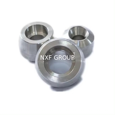 Round Head Code Super Austenitic Stainless 904L A182/B649 WP904L UNS N08904 Sockolet/Weldolet/Threadolet Forging Fitting