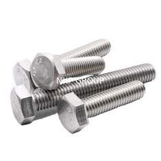 Hexagonal Head Bolts and Nuts Ss 304 316 Stainless Steel Galvanized Steel DIN931 DIN933 Half Thread