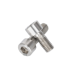 Grade Hastelloy C-276 Plain Finish Hex Bolt DIN912 M6*10-40mm ANSI Standard Hexagon Socket Bolt