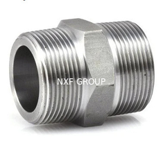 NXF Forging Technique Pipe Fittings DN 6-80 SCH 80-160 ASTM B573,ASME SB573,AMS 5771 Alloy N/UNS N10003 Hexagonal Nipple