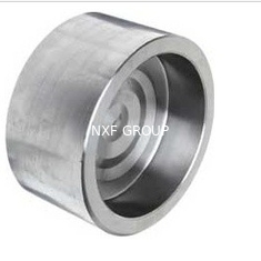 NXF UNS S31008 ASTM A403 310S/0Cr25Ni20/1.4845 DN15-1200 Class3000-9000 310S Stainless Steel Socket Welding Cap