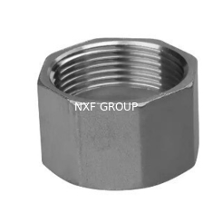 NXF UNS S31008 ASTM A403 310S/0Cr25Ni20/1.4845 DN6-100 Class3000-9000 High Pressure Stainless Steel Threaded Cap