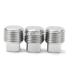 NXF ASTM B127 MONEL 400 Alloy/UNS N04400 DN 6-100 Class 150-2500 Nickel Alloy 400 Forging Square Head Plug