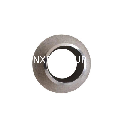 NXF 316L Stainless Steel Stub End Adaptor Flange Customize 2507 2205 Duplex Steel Pipe Lines Connection by Welding Pieces