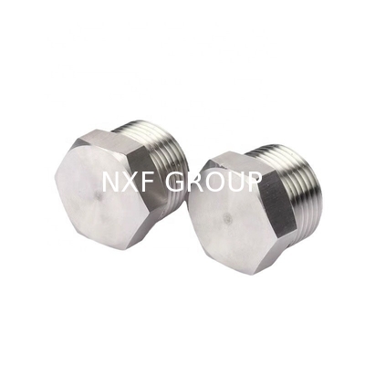 Forged Duplex Stainless Steel 2205 Hardware Uns31803 A182 F51 Hex Head Plug for Oil Pipe Manufacturing