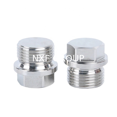 Forged Duplex Stainless Steel 2205 Hardware Uns31803 A182 F51 Hex Head Plug for Oil Pipe Manufacturing