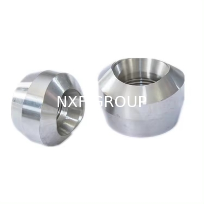 Round Head Code Super Austenitic Stainless 904L A182/B649 WP904L UNS N08904 Sockolet/Weldolet/Threadolet Forging Fitting