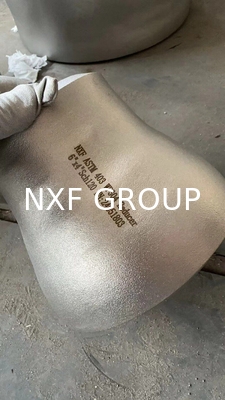 NXF UNS SS44600/X10CRALSI25/H24JS/1.4762 /446/Z12CAS25 STAINLESS STEEL REDUCER DN15-DN1500 SCH5S-SCH80 CUSTOMIZABLE