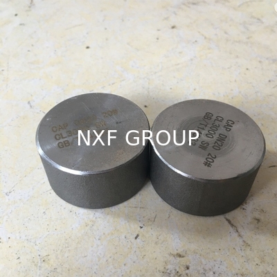 NXF UNS SS44600/X10CRALSI25/H24JS/1.4762 /446/Z12CAS25 STAINLESS STEEL SW CAP DN6-DN100 SCH80- XXS CUSTOMIZABLE CAP