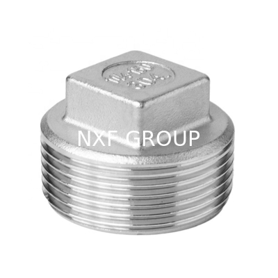 NXF UNS SS44600/X10CrAlSi25/H24JS/446/Z12CAS25/1.4762 304/316 Stainless Steel Square Head Plug DN6-DN100 for Casting