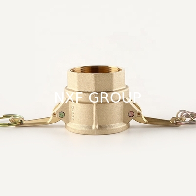 Quick Coupling Series Brass Type D Sand Casting Female BSPP Camlock Fittings