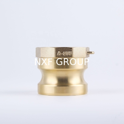 Quick Coupling Series Brass Type D Sand Casting Female BSPP Camlock Fittings