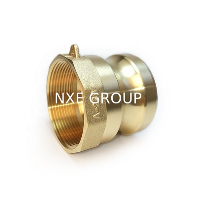 1/2"-8" Round Head Brass Camlock Coupling Quick Couplings Type B for Food and Beverage Industry