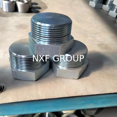 DN6-1200 Pipe Fittings with Welding Connection and ASTM A564/A564M AMS 5629 Standard Hex Head Plug Casting Technics
