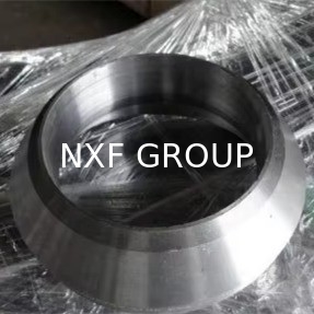Equal NXF DN 6-1200 STD-SCH 160 50mm ASTM B574 ASTM B619 ALLOY C-4/W.NR 2.4610/UNS N06455/AWS 052 Butt Welding Olet