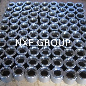 DN 6-100 Class 3000-9000 Forged Cast JIS 1pc ALLOY C-4/W.NR 2.4610/UNS N06455/AWS 052 Socket Welding Coupling for Water