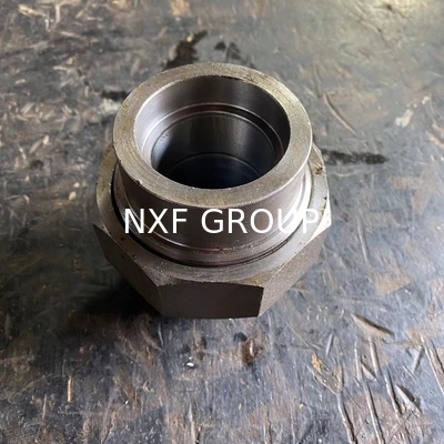 NXF SW Pipe Fittings DN 6-80 Class 3000-9000 ASTM B637,AMS 5383 Alloy G-30/2.4603/UNS N06030 Socket Welding Union