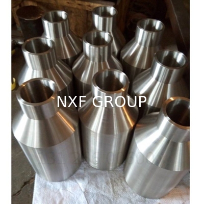 NXF ASTM B574,ASTM B619  Alloy C-4 /UNS N06455/W.Nr.2.4610  DN8-1200 SCH10S-SCH80 Pipe Fitting  Swaged Nipple