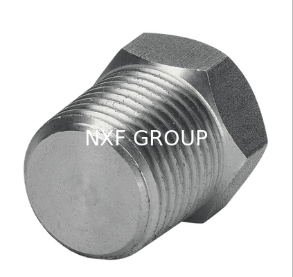 NXF ASTM B574 ASTM B619  Alloy C-4 / UNS N06455/ W.Nr.2.4610  DN6-1200  Pipe Fittings  Hex Head Plug