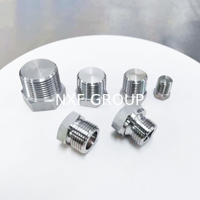 NXF Pipe Fittings DN 6-DN 100 Source Factory ASTM B637,AMS 5383 Alloy G-30/2.4603/UNS N06030 Hexagon Head Plug