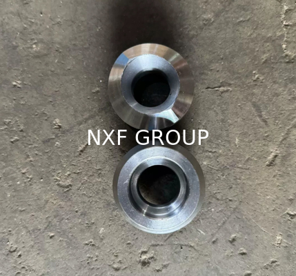 NXF Pipe Fitting DN 6-100 Class 3000- 6000 Oil Gas ASTM B573,ASME SB573,AMS 5771 Alloy N/UNS N10003 Socket Welding Olet