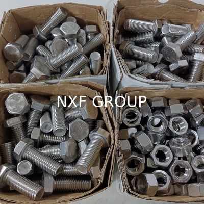 NXF DIN ISO UNI ASME Standard S32205 S31803 S32760 S32750 M6-M36 Duplex Stainless Steel fastener Hexagon Nut