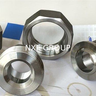 NXF 316/0Cr17Ni12Mo2/1.4401 Stainless Steel Customizable DN 6-100 Forging 2000-6000lb Pressure Different Types of Pipe Fitting