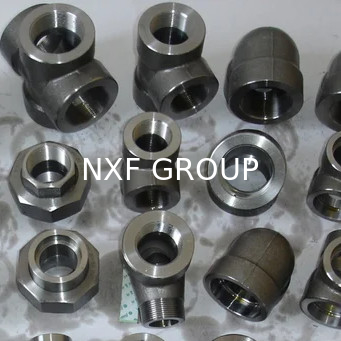 NXF 316/0Cr17Ni12Mo2/1.4401 Stainless Steel Customizable DN 6-100 Forging 2000-6000lb Pressure Different Types of Pipe Fitting