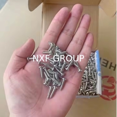 NXF ASTM A790M ASTM A479 Duplex Stainless Steel S32205 UNS S31803 S32205 DIN 1.4462 M1-M10 Cross Pan Head Tapping Screw
