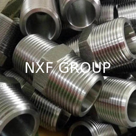 NXF Forging Technique Pipe Fittings DN 6-80 SCH 80-160 ASTM B573,ASME SB573,AMS 5771 Alloy N/UNS N10003 Hexagonal Nipple