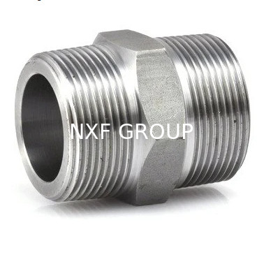 NXF Forging Technique Pipe Fittings DN 6-80 SCH 80-160 ASTM B573,ASME SB573,AMS 5771 Alloy N/UNS N10003 Hexagonal Nipple