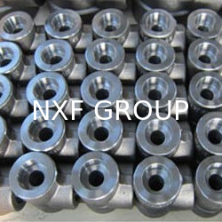 NXF DN 6-1200 Class 3000-9000 Pipe Fittings ASTM B581,ASTM B582,ASTM B619 Alloy G-35/UNS N06035 Socket Welding Tee