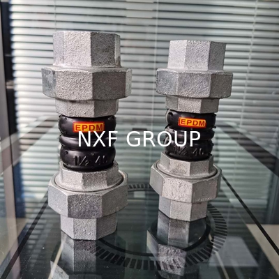 NXF DN 25-600 316/0Cr17Ni12Mo2/1.4401 Stainless Steel Flanged Type Flexible Twin Sphere Thread Union Rubber Expansion Joint