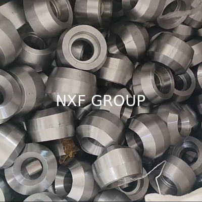 NXF Pipe Fitting DN 6-100 Class 3000- 6000 Oil Gas ASTM B435,ASTM B572 Alloy X/2.4656/UNS N06002 Socket Welding Olet