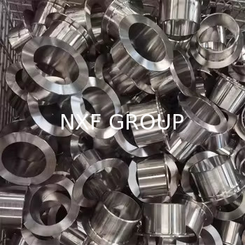 NXF ASTM UNSS31603 316L/00Cr17Ni14Mo2/1.4404 DN 15-1200 SCH10-XXS Stainless Steel 316L Butt Welding Lap Joint Stub End