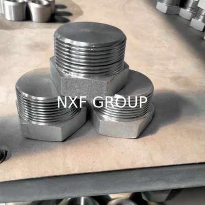 NXF ASTM A240 316H /1Cr17Ni12Mo2/31609 DN15-1200  Class 150-2500 Stainless Steel 316H Forging Threaded Hexagonal Head Plug