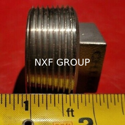 NXF ASTM UNSS31603 316L/00Cr17Ni14Mo2/1.4404 DN 15-1200 Class150-Class2500 Stainless Steel 316L Threaded Square Head Plug