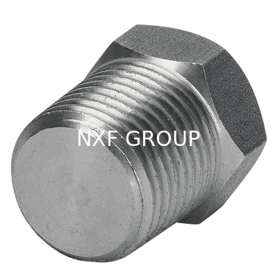 NXF ASTM UNSS31603 316L/00Cr17Ni14Mo2/1.4404 DN 15-1200 Class150-Class2500 Stainless Steel 316L Forging Threaded Hex Head Plug