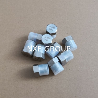 NXF ASTM UNSS31603 316L/00Cr17Ni14Mo2/1.4404 DN 15-1200 Class150-Class2500 Stainless Steel 316L Forging Threaded Hex Head Plug