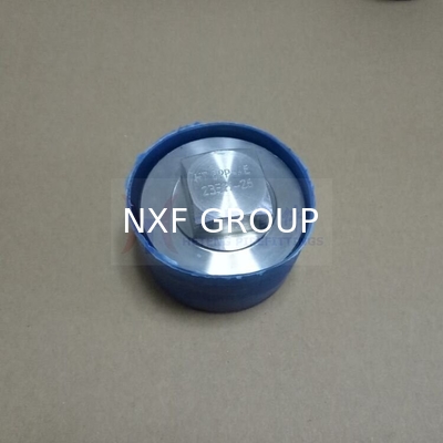 NXF ASTM A240 316H /1Cr17Ni12Mo2/31609 DN15-1200  Class 150-2500 Stainless Steel 316H  Threaded Square Head Plug