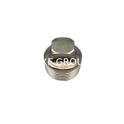 NXF ASTM A240 316H /1Cr17Ni12Mo2/31609 DN15-1200  Class 150-2500 Stainless Steel 316H  Threaded Square Head Plug