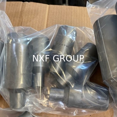 NXF ASTM A240 316H /1Cr17Ni12Mo2/31609 DN15-1200  Class 150-2500 Stainless Steel 316H Forging Threaded Swaged Nipple