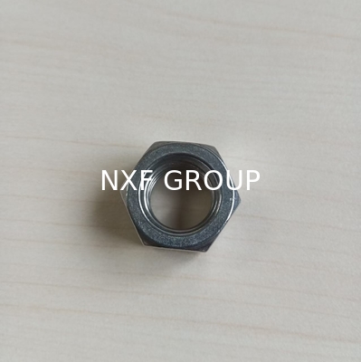 NXF JIS/DIN UNSS31603 316L/00Cr17Ni14Mo2/1.4404 M2-M39 Stainless Steel 316L ASTM Heavy or Thin Hex Nuts