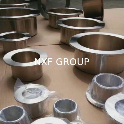 NXF ASTM JIS EN 316/0Cr17Ni12Mo2/1.4401 DN15-1200 SCH10-XXS Stainless Steel 316 Forging High Pressure Lap Joint Stub End