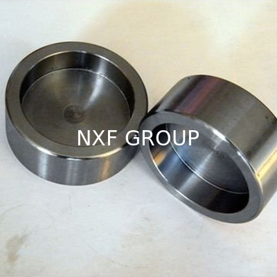 NXF ASTM JIS EN GOST 316Ti/0Cr18Ni12Mo2Ti DN15-1200 Class 150-2500 Stainless Steel 316Ti Socket Welding Cap