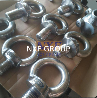 NXF ASTM JIS EN ANSI/ASME B18.21.1 316/0Cr17Ni12Mo2/1.4401M8 Aisi 316 Stainless Steel 316 Plain Eye Bolt