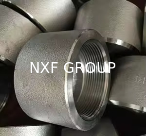 NXF ASTM JIS EN 316Ti/0Cr18Ni12Mo2Ti DN15-1200  Class 150-2500 Stainless Steel 316Ti  Forging High Pressure Threaded Cap