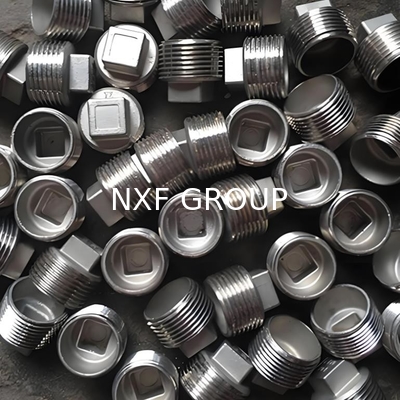 NXF ASTM JIS EN 316Ti/0Cr18Ni12Mo2Ti DN15-1200  Class 150-2500 Stainless Steel 316Ti  NPT Threaded Square Head Plug