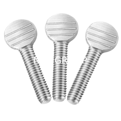 NXF ASTM DIN 316/0Cr17Ni12Mo2/1.4401 Grade8.8 10.9 12.9 Diameter M8 Length 12mm Stainless Steel Racket Bolts