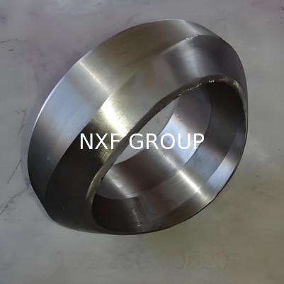 NXF ASTM A240 316Ti/0Cr18Ni12Mo2Ti DN15-1200  SCH10-XXS Stainless Steel 316Ti Forging High Pressure  Butt Welding Olet